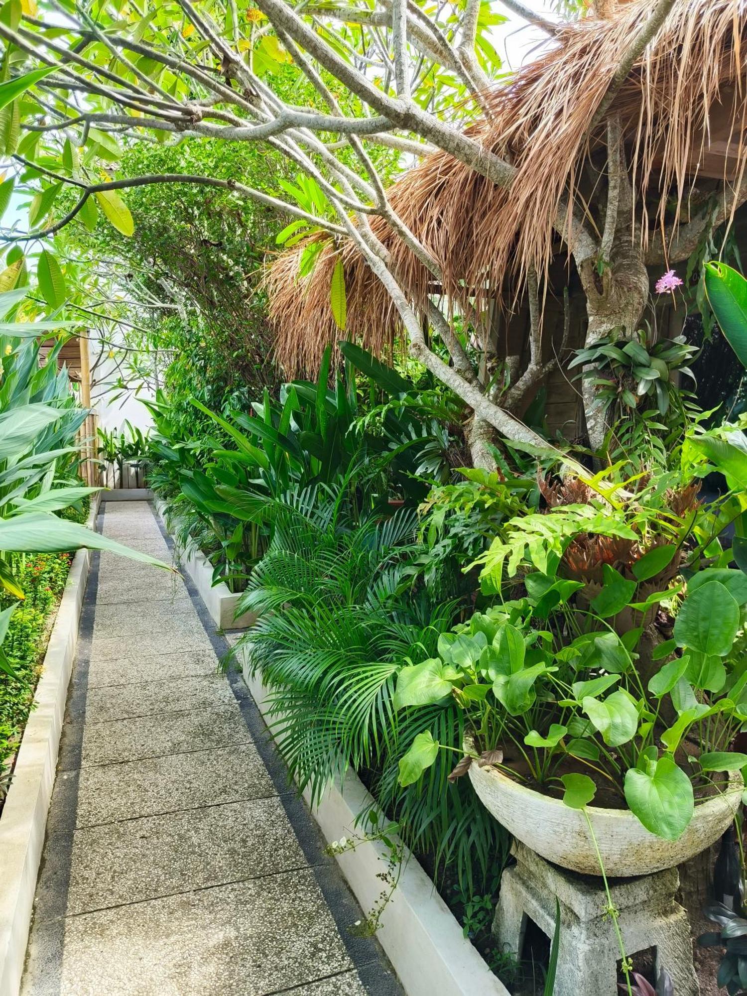 Lavella Villas Kuta  Exteriér fotografie